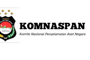 Komite Nasional Pengamanan Aset Negara